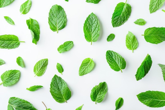 Foglie fresche di menta verde isolate su uno sfondo bianco vista dall'alto