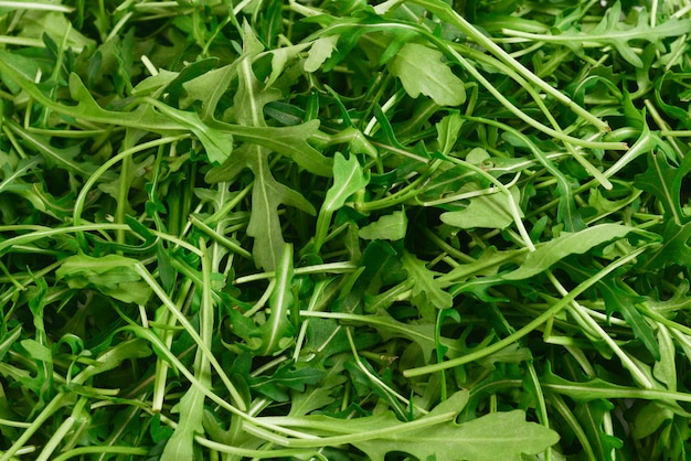 Foglie fresche di rucola come sfondo.