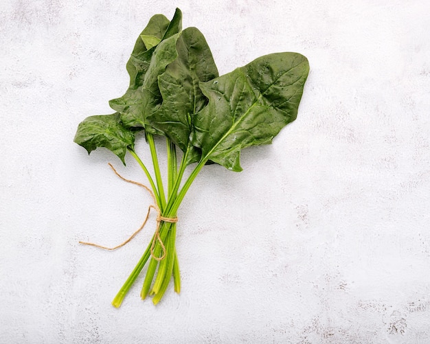 Foglie fresche di spinaci su fondo di cemento squallido