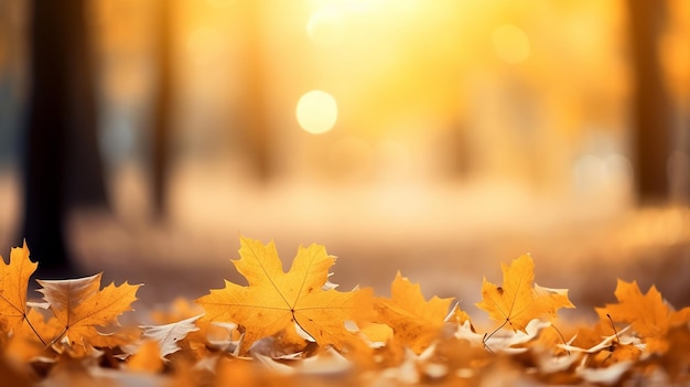 foglie gialle autunnali di quercia nel parco autunnale sfocatura dello sfondo