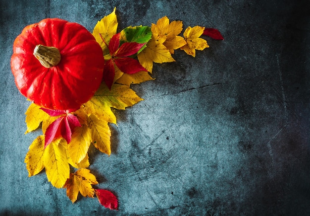 Foglie gialle e rosse di zucca su una decorazione autunnale di fondo in cemento