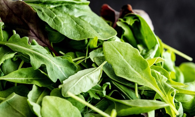 Foglie mix di spinaci verdi rucola e basilico