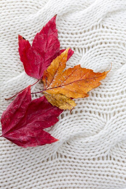 Foglie rosse e gialle di autunno su un maglione lavorato a maglia bianco. Avvicinamento. Intimità e calore nella stagione fredda. Verticale.