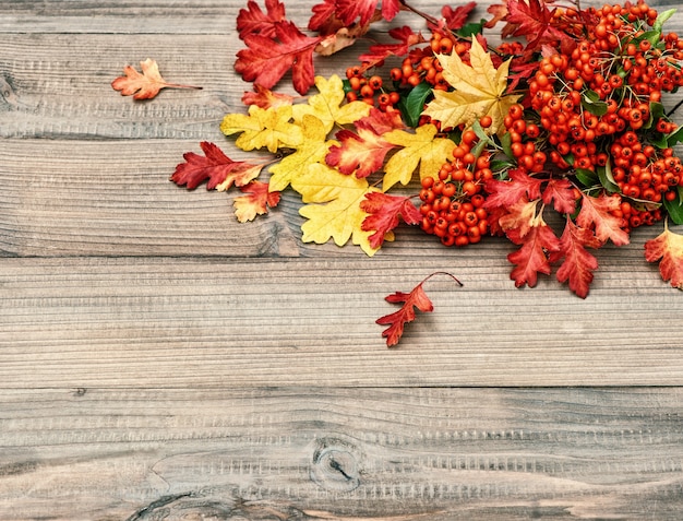 Foglie rosse e gialle su struttura di legno rustica. Sfondo autunnale. Foto colorata in stile retrò