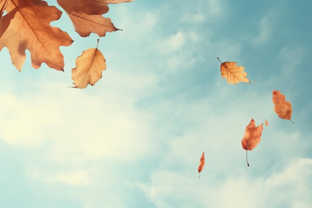 Foglie secche d'autunno che galleggiano sullo sfondo del cielo