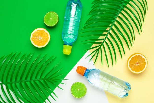 Foglie tropicali e acqua in bottiglia. Detox acqua infusa di frutta.