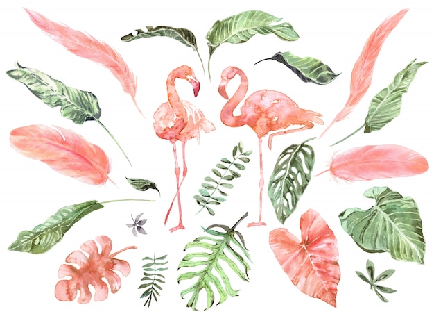 Foglie tropicali esotici e piume di fenicottero rosa insieme dell&#39;acquerello
