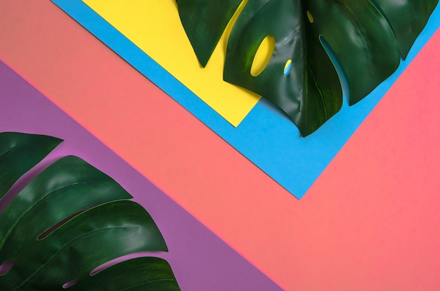 Foglie tropicali monstera su quattro toni di colore solido giallo, rosa, viola e azzurro