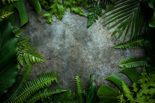 Foglie tropicali sul vecchio sfondo del tavolo e copia spazio