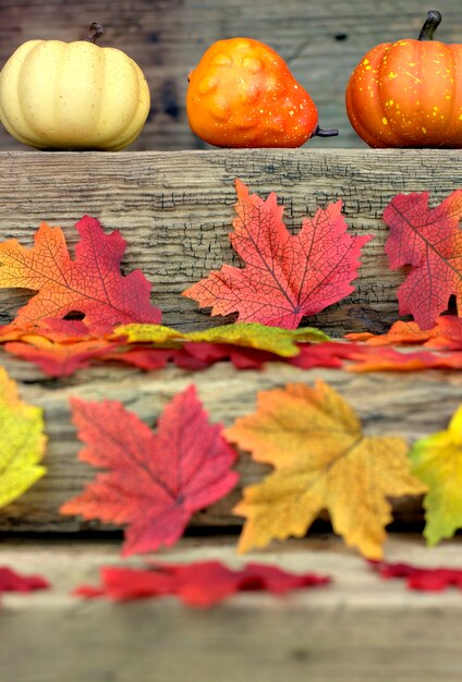 Foglie variopinte del primo piano di concetto del fondo di autunno sui precedenti di vecchi bordi marroni