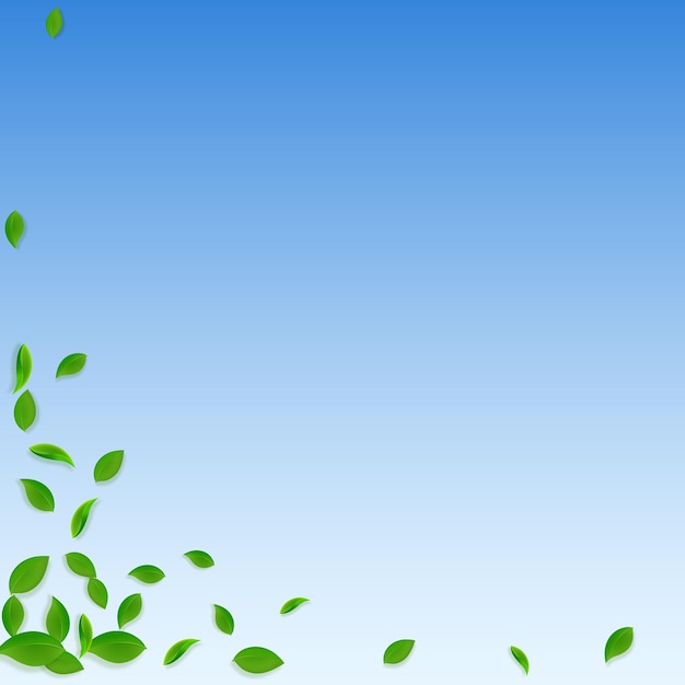 Foglie verdi che cadono Foglie caotiche del tè fresco che volano Fogliame primaverile che balla su sfondo blu cielo Modello di sovrapposizione estate attraente Illustrazione vettoriale di vendita di primavera ordinata