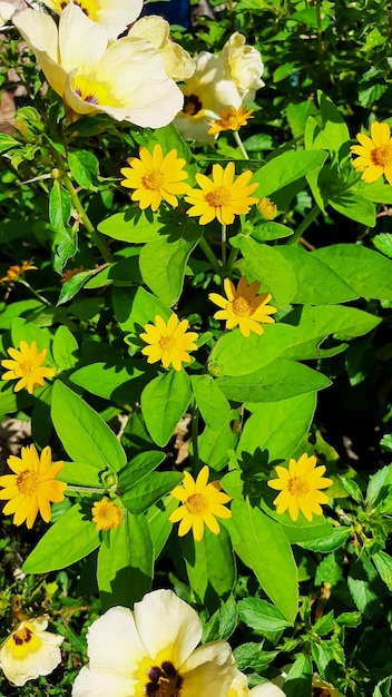 Foglie verdi con sfondo di fiori