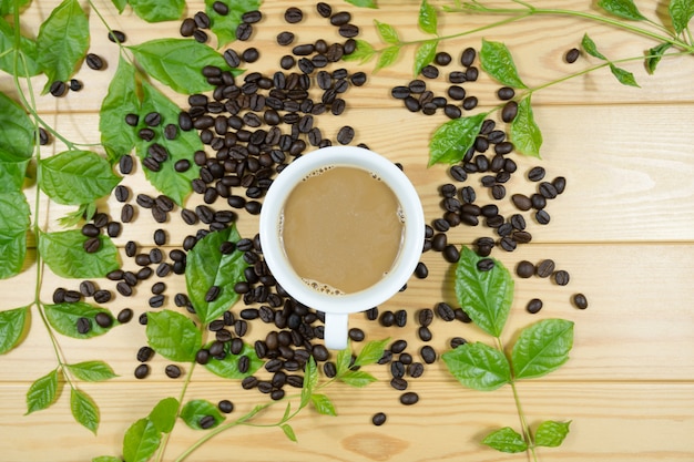 Foglie verdi della tazza, del fagiolo e dei rami di caffè macchiato su fondo di legno.