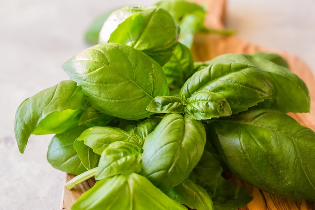 Foglie verdi di basilico sul tagliere di legno