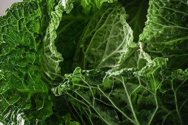 Foglie verdi di cavolo verza biologico Macro shot Natura verde texture astratta cibo vegano sano