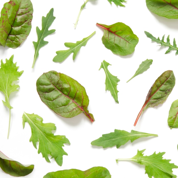 Foglie verdi di insalata mista su sfondo bianco