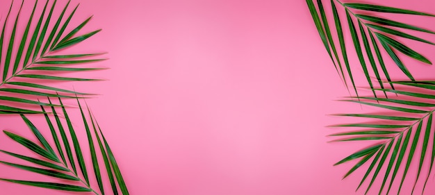 Foglie verdi di palma su sfondo rosa pastello brillante, foglie di palma verde tropicale, vista dall'alto concetto minimo. Disposizione piatta.