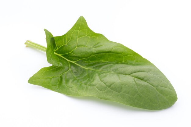 Foglie verdi di spinaci isolati su sfondo bianco.