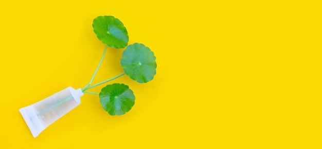 Foglie verdi fresche di centella asiatica in flacone cosmetico su sfondo giallo.