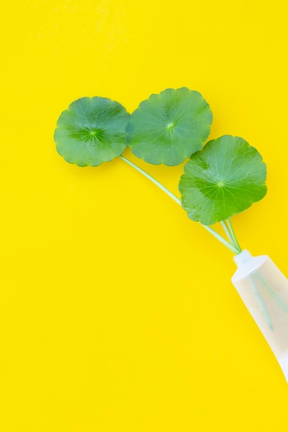 Foglie verdi fresche di centella asiatica in flacone cosmetico su sfondo giallo.