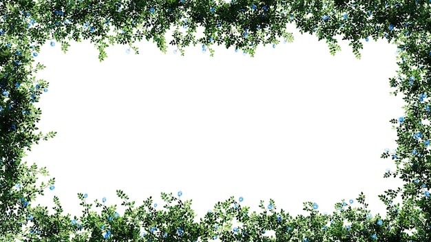 Foglie verdi fresche e cornice floreale isolate con sfondo trasparente