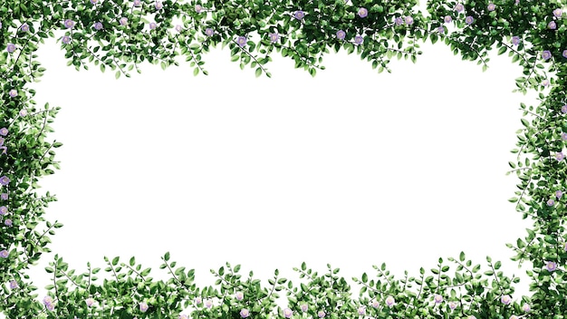 Foglie verdi fresche e cornice floreale isolate con sfondo trasparente