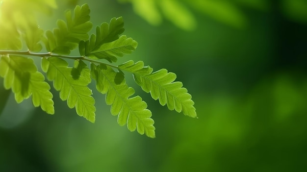 Foglie verdi sfondo naturale Illustrazione AI GenerativexA