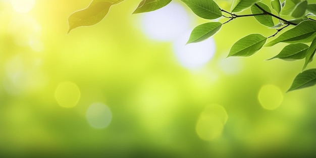 Foglie verdi su un albero