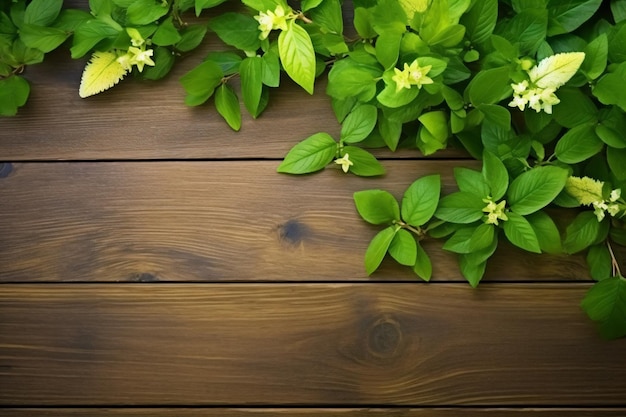 Foglie verdi su un fondo di legno