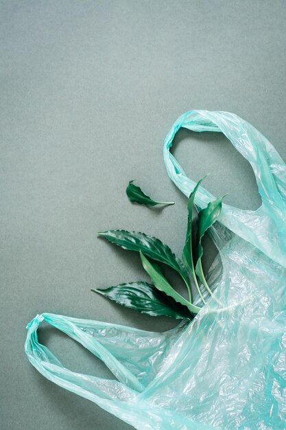 Foglie vive fresche in un sacchetto di plastica su uno sfondo verde. Concetto di protezione verde e ambientale. Vista dall'alto