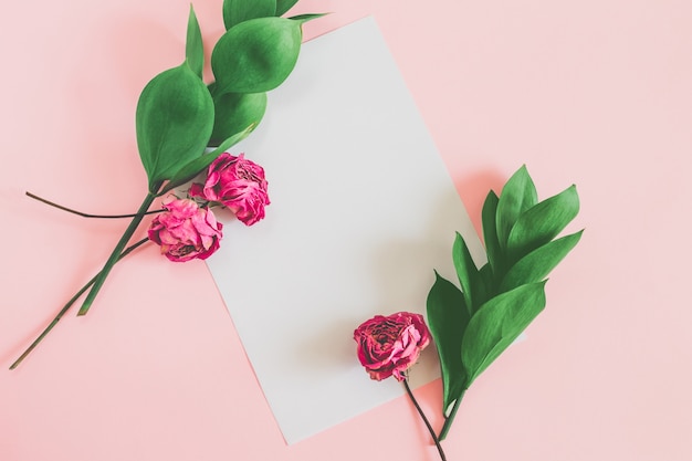 Foglio bianco su un rosa con foglie verdi e una rosa rosa secca