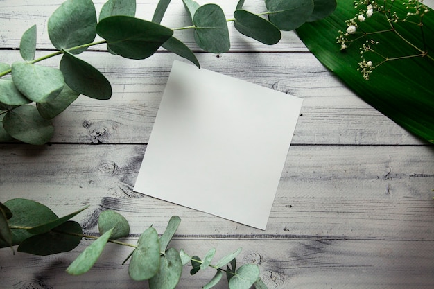 foglio bianco vuoto con posto per il testo su uno sfondo chiaro con foglie di piante fiori ed eucalipto