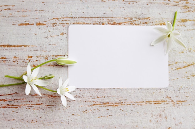 Foglio di carta bianco e fiori sbocciati