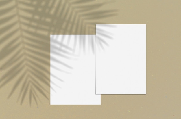 Foglio di carta verticale bianco bianco 5x7 pollici con sovrapposizione di ombra della palma.