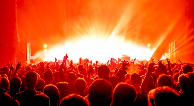 Folla al concerto di musica contro il cielo.