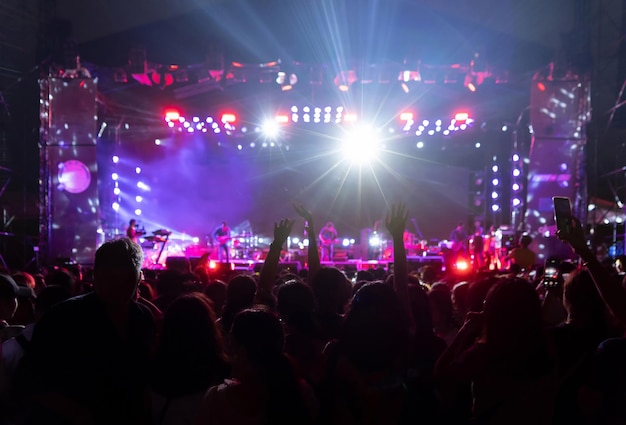 Folla al concerto musicale