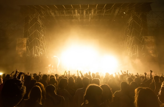 Folla di fan al concerto