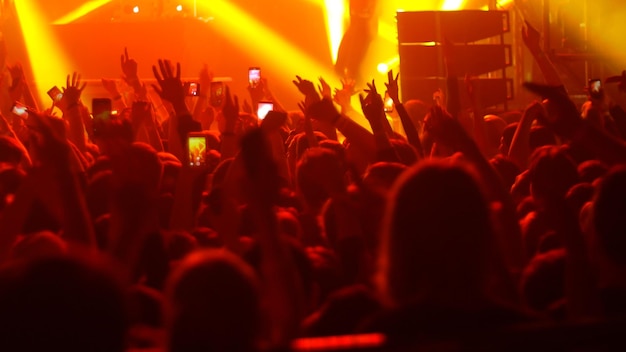 Folla energica di persone che ballano con le mani alzate all'illuminazione rossa del concerto punk