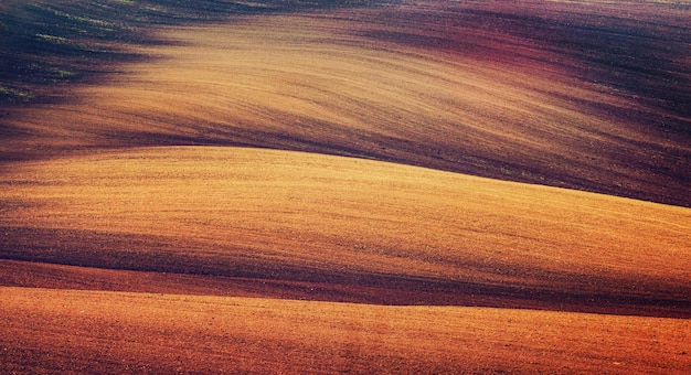 Fondo agricolo naturale astratto terroso con le colline e le onde