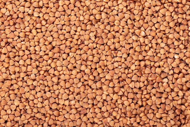 Fondo arrostito dei grani del grano saraceno. Semole di grano saraceno marrone secco.