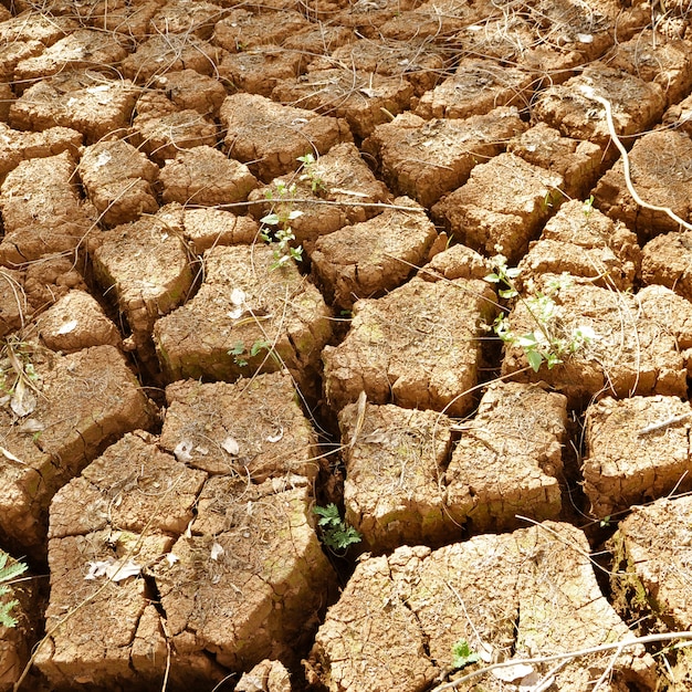 fondo asciutto di struttura del suolo della crepa