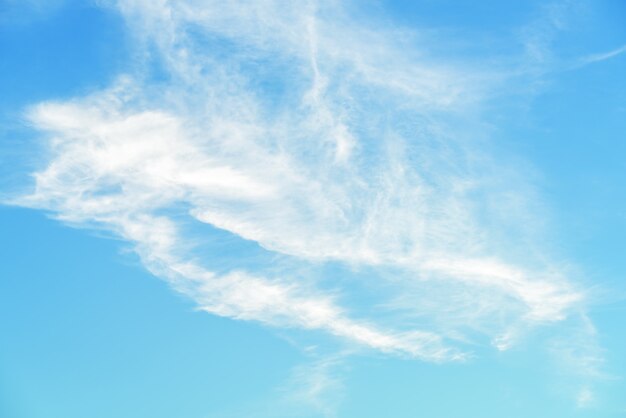 Fondo bianco gonfio delle nuvole del cielo blu fresco