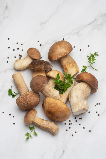 Fondo culinario con tavola di legno di funghi porcini e spezie su fondo grigio chiaro