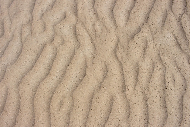 Fondo de arena en las dunas