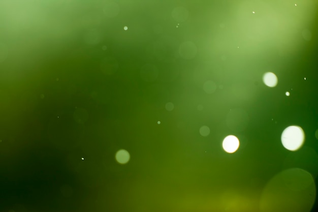 Fondo del bokeh delle luci verdi.