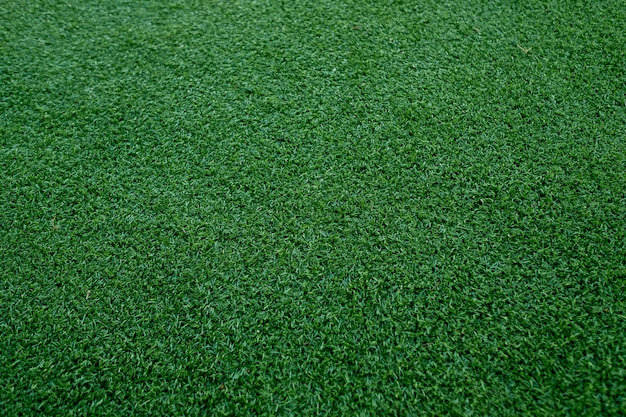 fondo del campo di erba, natura verde