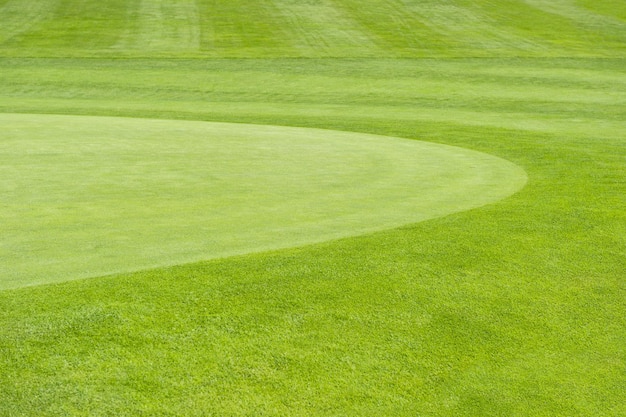 Fondo del campo verde del campo da golf