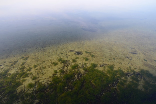 fondo del lago forestale con acqua limpida e canneti sul fondo Riflessione di nuvole sulla superficie di un lago