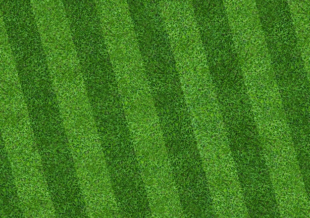 Fondo del modello del campo di erba verde per calcio e calcio.