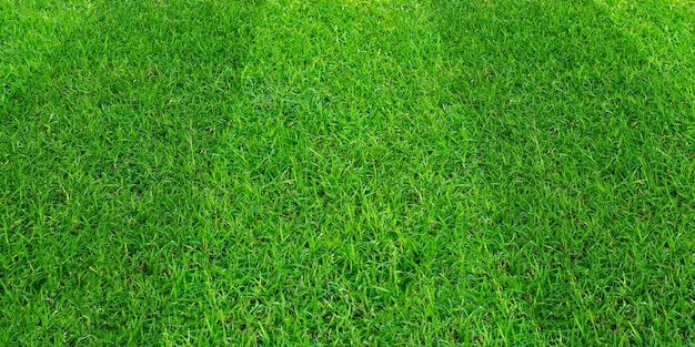 Fondo del modello del campo di erba verde per gli sport di calcio e di calcio. Priorità bassa di struttura del prato verde.
